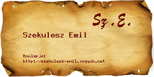 Szekulesz Emil névjegykártya